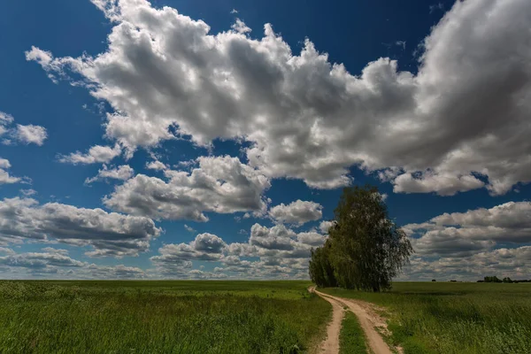 Country road, summer green fields, blue sky with white clouds and trees