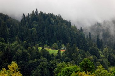 Büyüleyici dağ manzarası. Yalnız kulübesi ve sık ormanı gösteriyor.