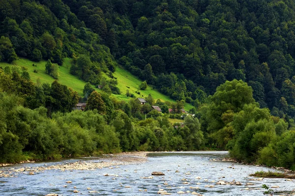 Beauté Nature Une Rivière Paysage Montagne — Photo