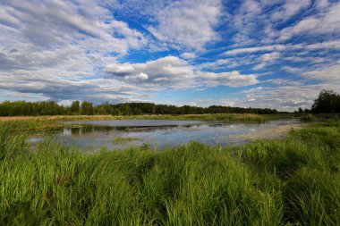 Göl, mavi gökyüzünün ayna yansıması ve ormanla çevrili beyaz bulutlarla dolu.