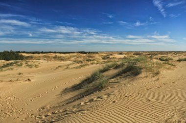 Ara sıra bitki örtüsü, mavi gökyüzü ve beyaz bulutlarla kumlu çöl tepeleri.