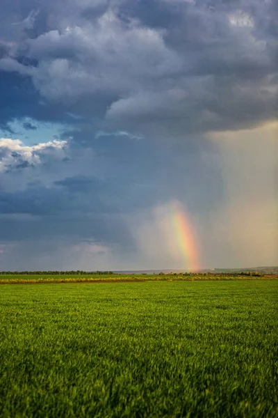 Majestátní Duhové Dešťové Mraky Nad Krajinou Pulzující Zelená Zemědělská Půda — Stock fotografie