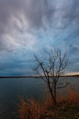Akşamları nehir kıyısındaki yalnız ağaç, uğursuz bulutlar.