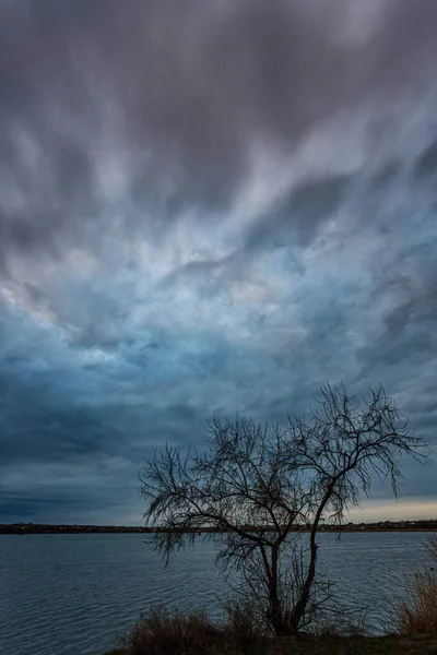 stock image lonely tree on the riverbank at evening, ominous clouds