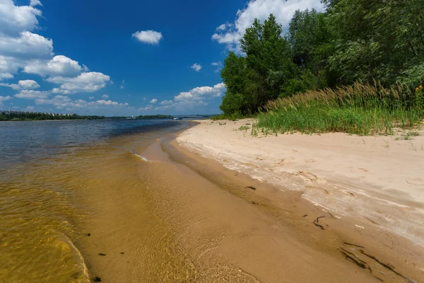 stock image green trees, flowers, and grass on the sandy island. vibrant flora