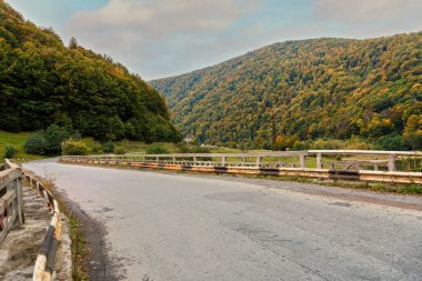 Resimli dağ eski boş yol. Ağaçlar. Orman ve gökyüzü bulutlu