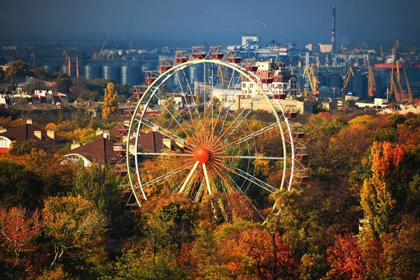 从鸟瞰看秋季公园的摩天轮和屋顶 — 图库照片
