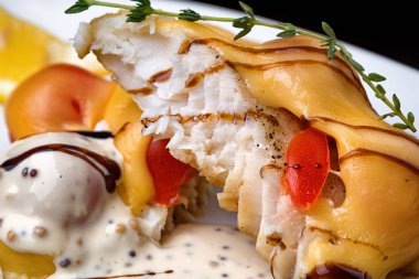 fırında zander balığı filetosu, peynirli, beyaz soslu, domates dilimli ve bir dal biberiyeli, beyaz tabakta, siyah arka planda.