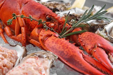 Buz, midye, karides ve midye, closeup ile kırmızı ıstakoz