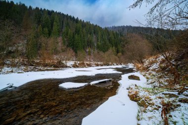 Dağlardaki kış ormanı ve nehir