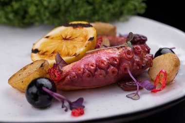 Octopus tentacles with lemon on a white plate