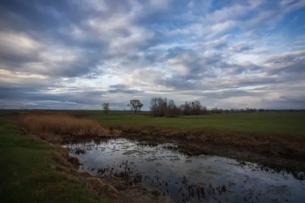 stock image Spring field after rain, sky with clouds