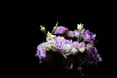 Siyah arka planda tomurcukları olan bir buket bej ve mor Eustoma. Kartlar için mükemmel, ve metin alanı olan çiçek tasarımı.