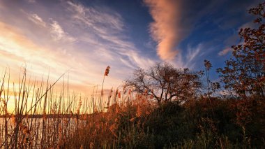 Parlayan gökyüzü ve canlı renkleri yansıtan sakin su ile göl kıyısında manzaralı sıcak bir gün batımı. Huzurlu ve atmosferik doğa manzarası.