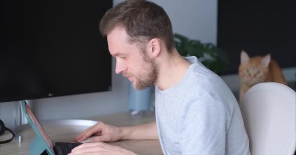 陽気な髭を生やした男性ソフトウェアエンジニアは バックグラウンドで生姜猫とコンピュータモニタでラップトップを使用してほとんど働いていない自宅の職場に座っています 灰色のTシャツの若いハンサムな男 — ストック動画