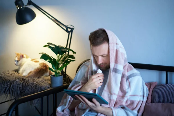 사무실이나 온라인 스터디 침대에 담요와 고양이가 태블릿 사용하고 재채기를 젊은이가 — 스톡 사진