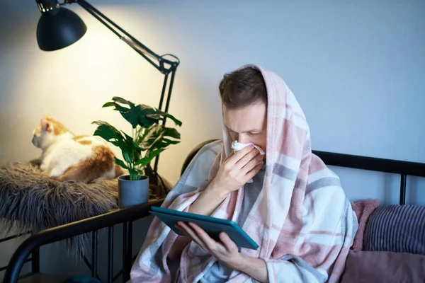 Bearded man full covered with blanket using digital tablet in bed and white tabby cat sitting near him. Distant work from home office or online education. Feeling sick or illness concept