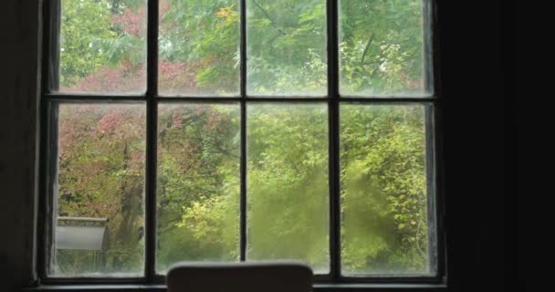 Barış Konsepti Sonbahar Renklerinde Bahçe Orman Manzaralı Dev Pencerenin Önündeki — Stok video