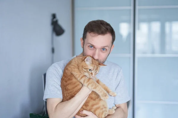 Caucasian cheerful male guy in gray t-shirt with cat. Portrait of cheerful bearded man at working place in home office staying near table holding and kissing tabby cat. High quality image