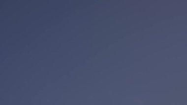Military aircrafts in the clear blue sky. Four fighters planes flying in a row on air force parade. High quality 4k video footage