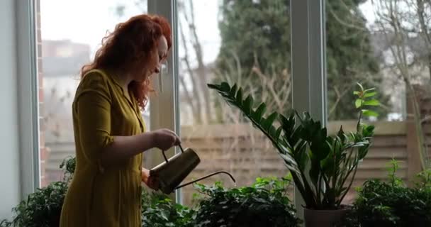 Gärtnerin Die Hause Pflanzen Gießt Kaukasische Frau Als Floristin Der — Stockvideo