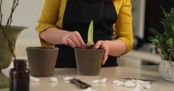Blanke Vrouw Tuinier Bloemist Zwart Schort Gele Jurk Planten Bloemen — Stockvideo