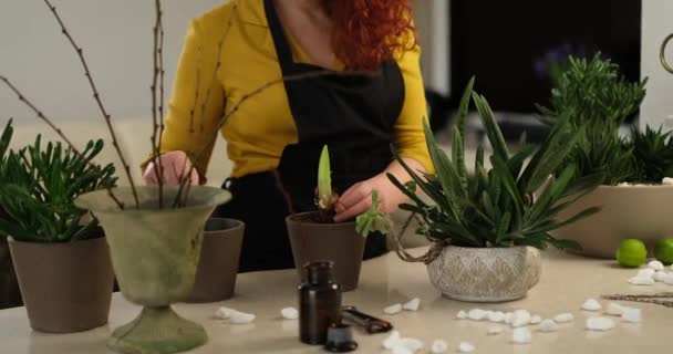 Mujer Caucásica Jardinero Florista Delantal Negro Vestido Amarillo Plantando Flores — Vídeos de Stock
