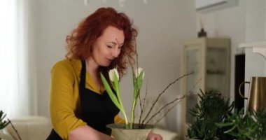 Lale buketi yapmak: sarı elbiseli ve siyah önlüklü beyaz saçlı kadın çiçekçi portresi işe yarıyor. Çiçekçi, bitkiler bakım ve bahçe konsepti. Yüksek kaliteli 4K video görüntüleri