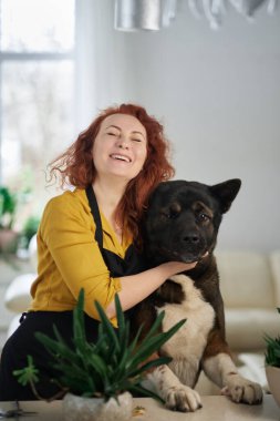 Siyah önlüklü genç kızıl kadın ve akita köpeği evde eğleniyorlar. Gülümsüyor ve köpeği besliyor. Yüksek kalite fotoğraf