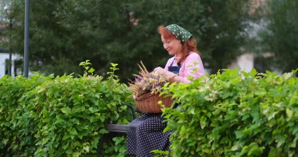 農家の女性が座って乾燥した花のバスケットでエプロンで待っている屋外 村の生活 ラベンダーの房を持つ花屋の女性 4K映像 — ストック動画