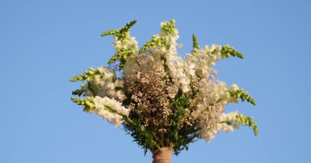 Mavi Gökyüzünün Arka Planında Bir Buket Beyaz Çiçek Yaz Bahar — Stok video
