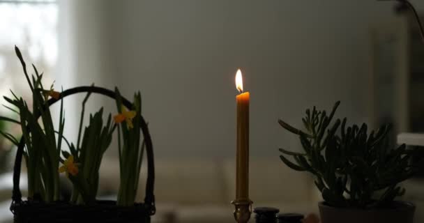 Kerzen Auf Dem Hintergrund Des Narzissenkorbs Hause Abstellen Gemütliches Konzept — Stockvideo