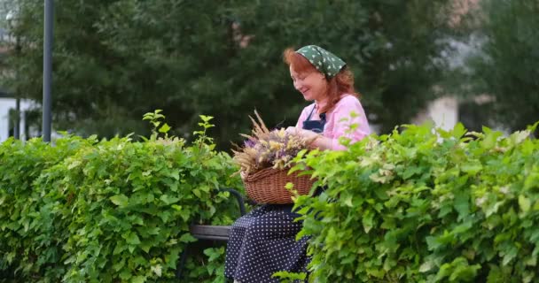 农妇坐在围裙里等待着外面一筐干花 乡村生活 开薰衣草束的花店女人4K镜头 — 图库视频影像