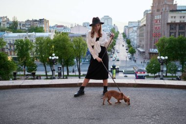 Bir köpekle zarif bir bayanın moda portresi. Siyah ceketli ve şapkalı güzel sarışın beyaz kız şehir manzaralı kameraya bakıyor. Gün batımı zamanı. Yüksek kaliteli resim