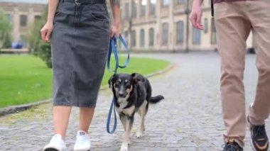 Barınak köpeği olan mutlu çift yazın eski şehrin arka planında sarılıyor. Siyah saçlı kadınlar ve şapkalı bir adam kurtarılmış köpeği olan sevimli, genç ve modern bir çift. Yüksek kaliteli video görüntüsü 4k