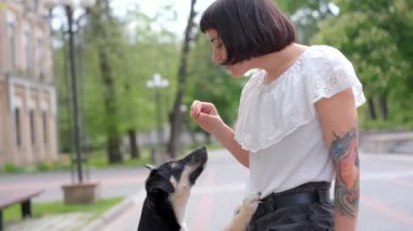 Bahçedeki çimlerin üzerinde oturan güzel genç kadın ve köpek. Gülümsüyor ve köpeğe sarılıyor. Eski şehir manzarası. Yüksek kaliteli görüntüler 4K