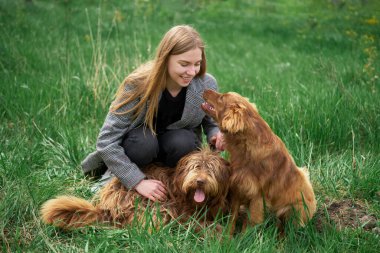 Neşeli, güzel genç bir kadın çayırda oturmuş köpeklerine sarılıyor. Yüksek kalite fotoğraf