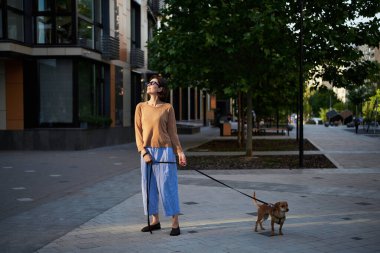 Biseksüel şehirde küçük zencefilli köpekle gezen genç ve güzel bir kadın. Şehir manzarası Yüksek kalite fotoğraf