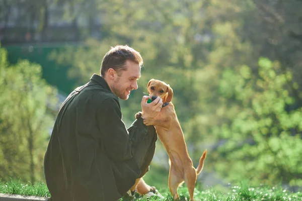 Homem Bonito Brinca Com Cão Bonito Treinamento Ensinando Truques Comandos — Fotografia de Stock