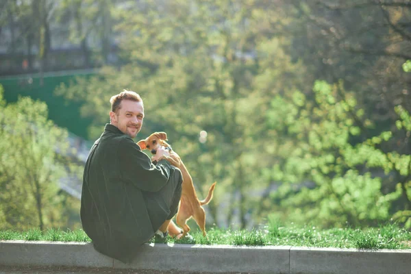 Schöner Mann Spielt Mit Süßem Kleinen Hund Trainiert Lehrt Tricks — Stockfoto