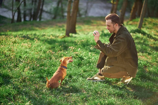 Yakışıklı Adam Şirin Küçük Köpekle Oynuyor Eğitim Görüyor Şehir Parkında — Stok fotoğraf