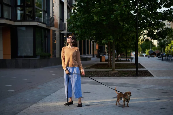 Jovem Adulto Bonito Feminino Com Pequeno Cão Gengibre Cidade Andando — Fotografia de Stock
