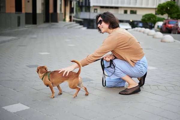 Young female adult in the city with a dog sitting and hugging, smiling. Petting the dog, feeding, having fun High quality photo