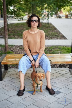 Şehirde oturan, sarılan, gülümseyen bir köpeği olan genç bir kadın. Köpeği okşamak, beslemek, eğlenmek.