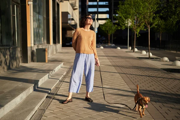 Jonge Mooie Vrouwelijke Volwassene Met Kleine Gember Hond City Wandelen — Stockfoto
