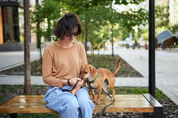 Young Female Adult City Dog Sitting Hugging Smiling Petting Dog — Stock Photo, Image