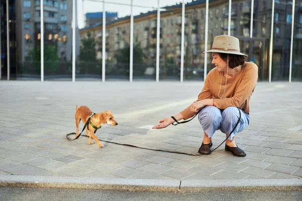 Giovane Donna Adulta Città Con Cane Seduto Abbracciato Sorridente Accarezzare — Foto Stock