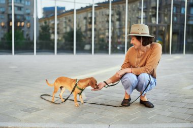 Şehirde oturan, sarılan, gülümseyen bir köpeği olan genç bir kadın. Köpeği okşamak, beslemek, eğlenmek.