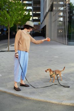 Şehirde oturan, sarılan, gülümseyen bir köpeği olan genç bir kadın. Köpeği okşamak, beslemek, eğlenmek.