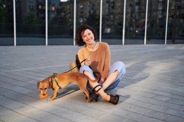 Şehirde oturan, sarılan, gülümseyen bir köpeği olan genç bir kadın. Köpeği okşamak, beslemek, eğlenmek.